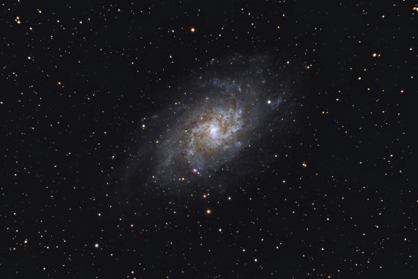 M33