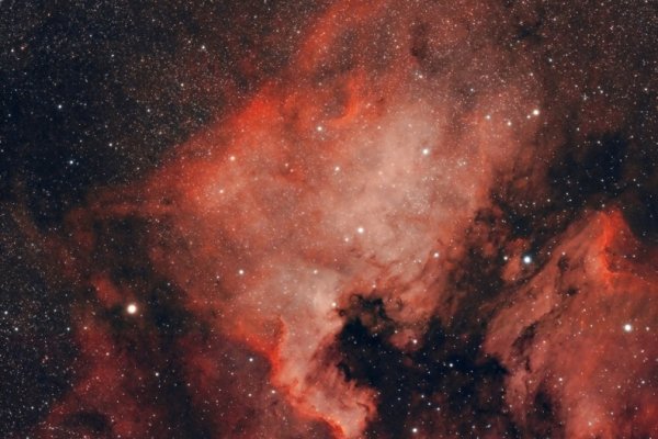 NGC7000