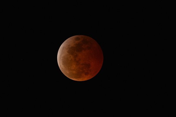 lunar-eclipse-3.14.2025