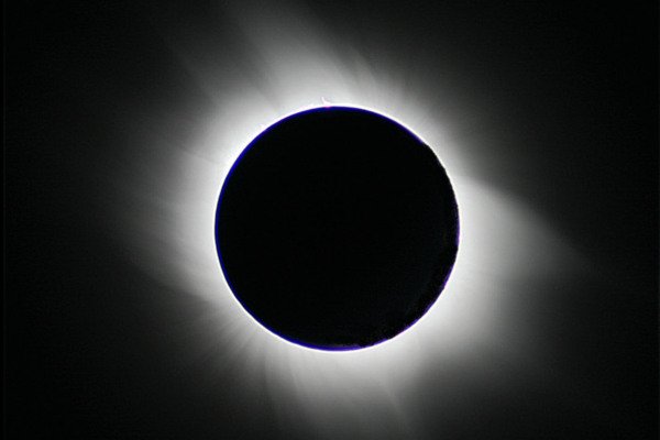 29 Corona