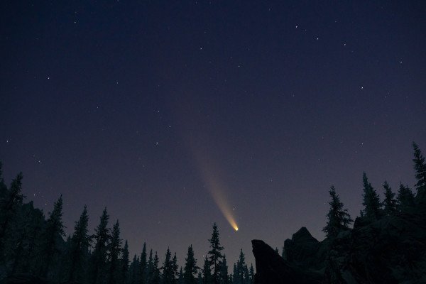 NEOWISE COMET HI RES TREES