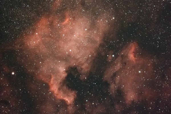 North American and Pelican